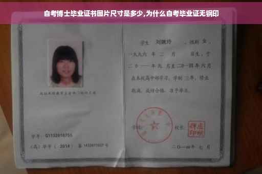 自考博士毕业证书图片尺寸是多少,为什么自考毕业证无钢印