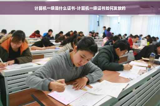 计算机一级是什么证书-计算机一级证书如何发放的
