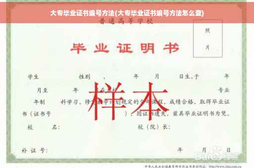 大专毕业证书编号方法(大专毕业证书编号方法怎么查)