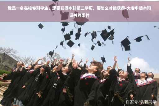 我是一名在校专科学生，想要获得本科第二学历，要怎么才能获得-大专申请本科证书的条件
