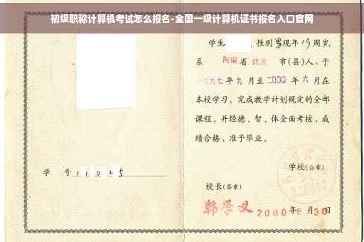 初级职称计算机考试怎么报名-全国一级计算机证书报名入口官网