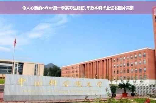 令人心动的offer第一季实习生履历,华政本科毕业证书图片高清