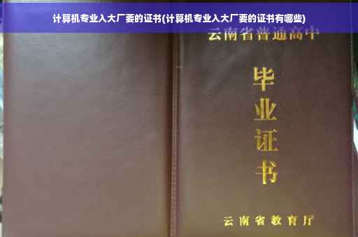 计算机专业入大厂要的证书(计算机专业入大厂要的证书有哪些)