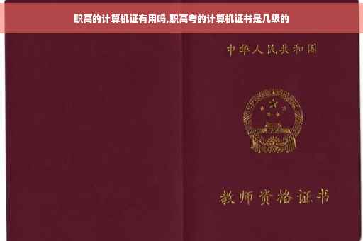 职高的计算机证有用吗,职高考的计算机证书是几级的