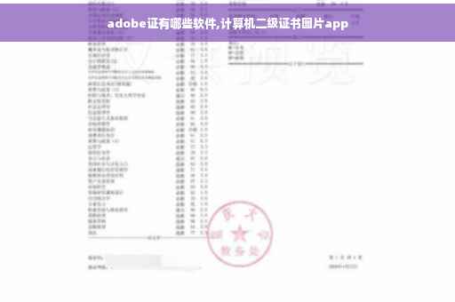 adobe证有哪些软件,计算机二级证书图片app