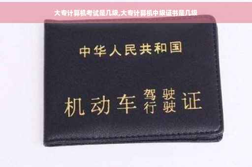 大专计算机考试是几级,大专计算机中级证书是几级