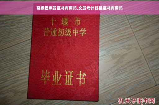 高级程序员证书有用吗,文员考计算机证书有用吗