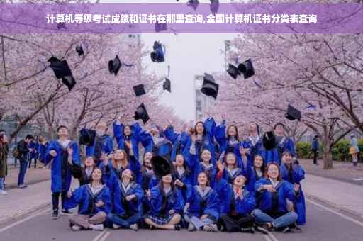 计算机等级考试成绩和证书在那里查询,全国计算机证书分类表查询 计算机等级考试成绩和证书在那里查询,全国计算机证书分类表查询