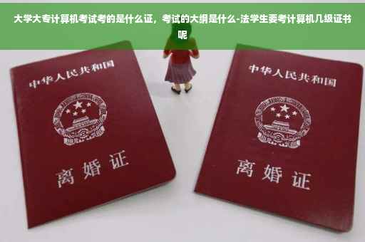 大学大专计算机考试考的是什么证，考试的大纲是什么-法学生要考计算机几级证书呢