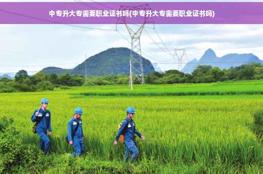 中专升大专需要职业证书吗(中专升大专需要职业证书吗)