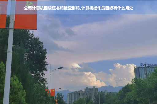 公司计算机四级证书吗能查到吗,计算机操作员四级有什么用处