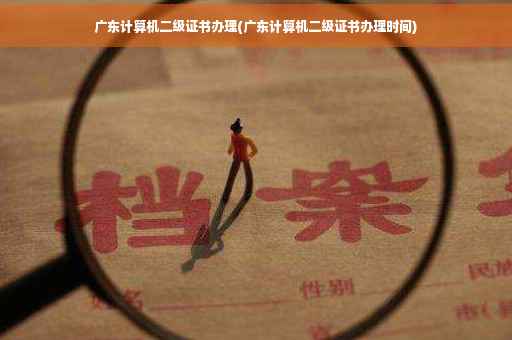 广东计算机二级证书办理(广东计算机二级证书办理时间)