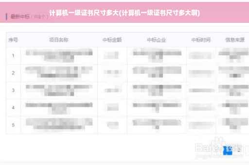 计算机一级证书尺寸多大(计算机一级证书尺寸多大啊)