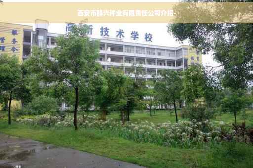 西安市群兴种业有限责任公司介绍-