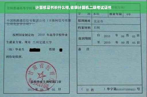 计算机证书长什么样,省级计算机二级考试证书