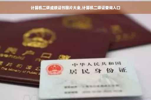 计算机二级成绩证书图片大全,计算机二级证查询入口