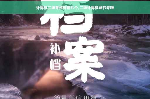 计算机二级考试有哪几个,二级计算机证书考啥