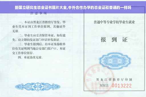 新国立研究生毕业证书图片大全,中外合作办学的毕业证和普通的一样吗