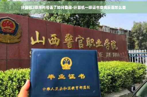 计算机2级序列号丢了如何查询-计算机一级证书查询反面怎么查