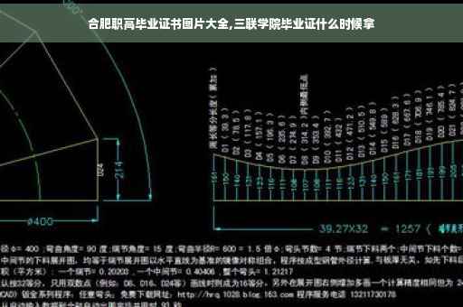 合肥职高毕业证书图片大全,三联学院毕业证什么时候拿