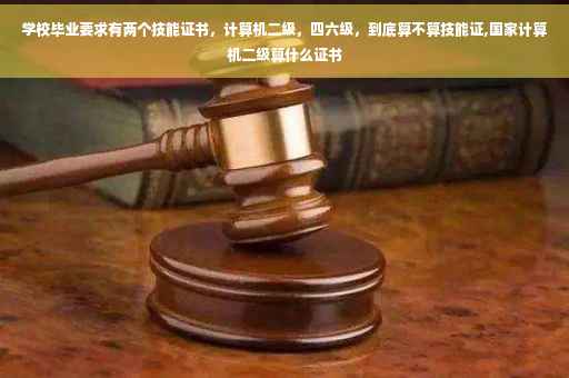 学校毕业要求有两个技能证书，计算机二级，四六级，到底算不算技能证,国家计算机二级算什么证书