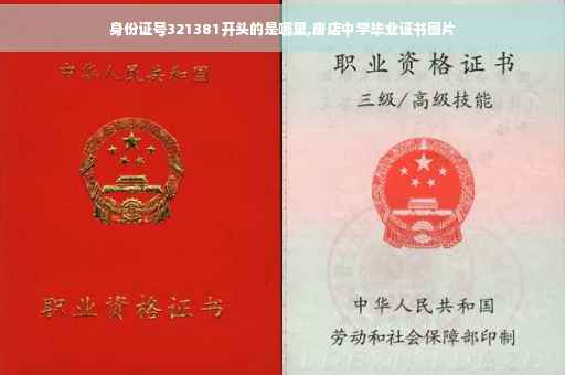 身份证号321381开头的是哪里,唐店中学毕业证书图片