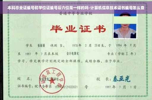 本科毕业证编号和学位证编号后六位是一样的吗-计算机信息技术证书编号怎么查