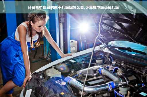 计算机中级证书属于几级呢怎么查,计算机中级证算几级