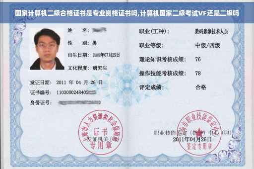 国家计算机二级合格证书是专业资格证书吗,计算机国家二级考试VF还是二级吗