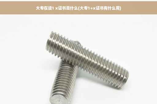 大专在读1 x证书是什么(大专1+x证书有什么用)