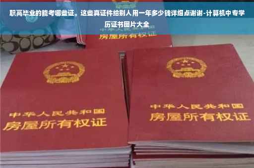 职高毕业的能考哪些证。这些真证件给别人用一年多少钱详细点谢谢-计算机中专学历证书图片大全