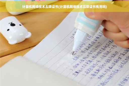 计算机网络技术五级证书(计算机网络技术五级证书有用吗)