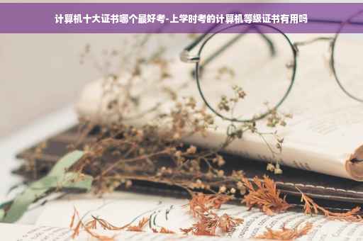 计算机十大证书哪个最好考-上学时考的计算机等级证书有用吗