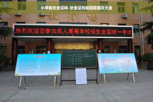 小学有毕业证吗-毕业证书校园照图片大全