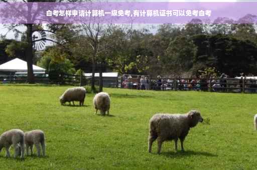 自考怎样申请计算机一级免考,有计算机证书可以免考自考