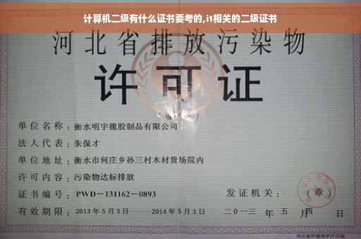 计算机二级有什么证书要考的,it相关的二级证书