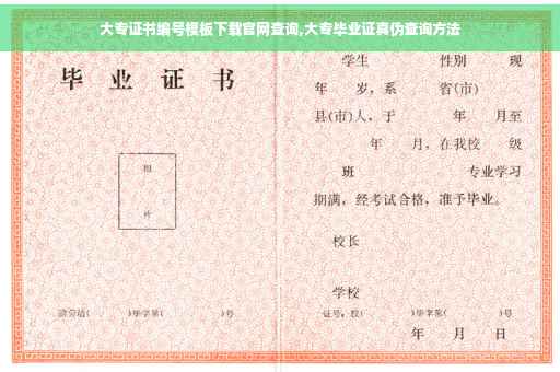 大专证书编号模板下载官网查询,大专毕业证真伪查询方法