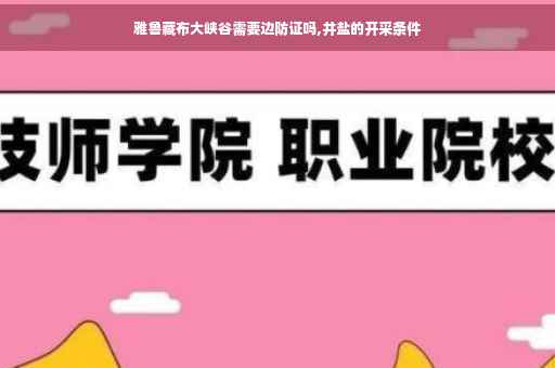 雅鲁藏布大峡谷需要边防证吗,井盐的开采条件