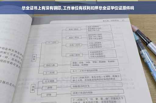 毕业证书上有没有钢印,工作单位有权利扣押毕业证学位证原件吗