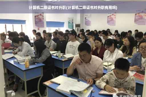 计算机二级证书对升职(计算机二级证书对升职有用吗)