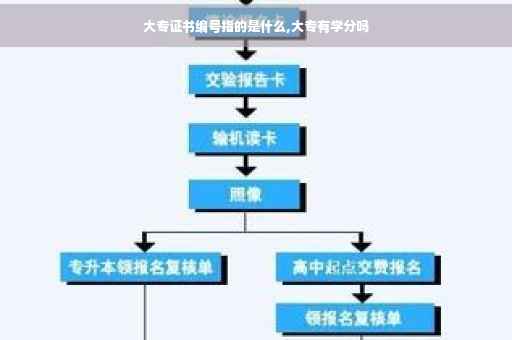 大专证书编号指的是什么,大专有学分吗 大专证书编号指的是什么,大专有学分吗