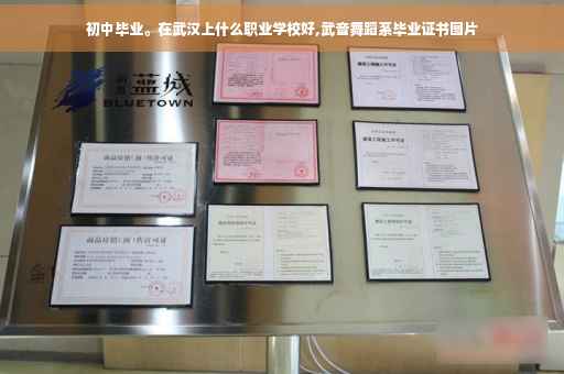 初中毕业。在武汉上什么职业学校好,武音舞蹈系毕业证书图片
