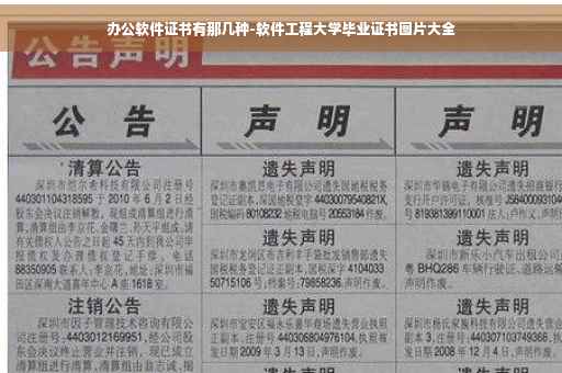 办公软件证书有那几种-软件工程大学毕业证书图片大全