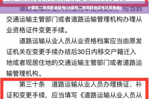 计算机二级是职业证书(计算机二级是职业证书还是执业)