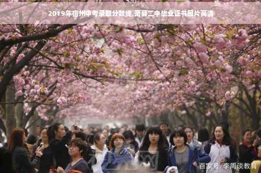 2019年宿州中考录取分数线,萧县二中毕业证书图片高清