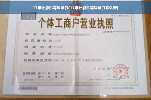 17年计算机等级证书(17年计算机等级证书怎么查)