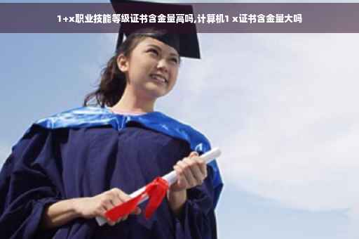 1+x职业技能等级证书含金量高吗,计算机1 x证书含金量大吗