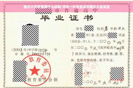 临沂小升初需要什么材料-河东一中毕业证书图片大全高清