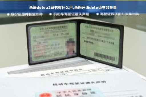 西语delea2证书有什么用,西班牙语dele证书含金量