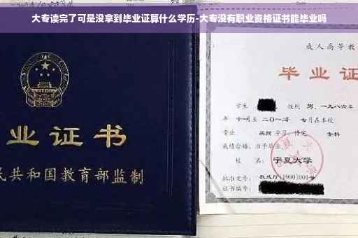 大专读完了可是没拿到毕业证算什么学历-大专没有职业资格证书能毕业吗